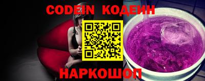 индика Обнинск