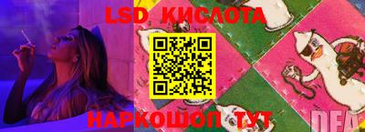 индика Обнинск