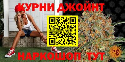индика Обнинск