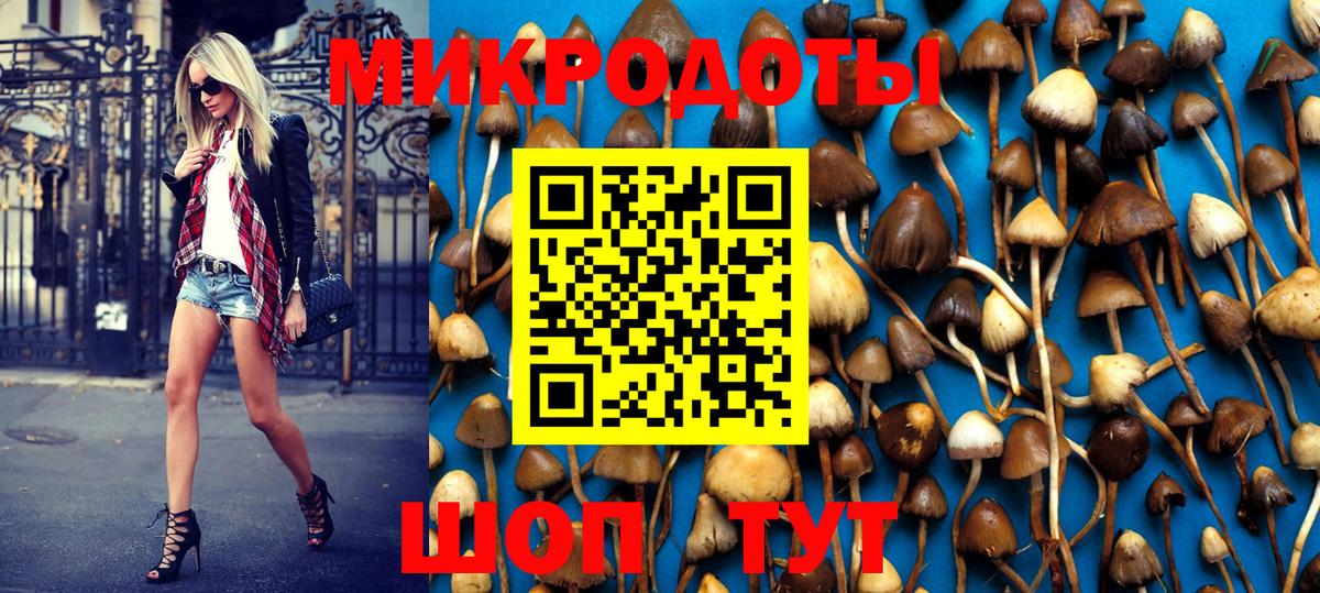 Псилоцибиновые грибы Psilocybine cubensis  Вход с VPN  Тайшет 